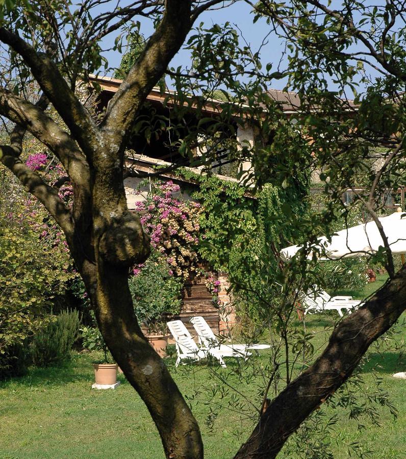 Hotel Belvedere Torri Del Benaco Zewnętrze zdjęcie
